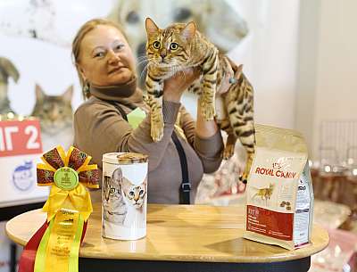 �������� �����  20-21 �������� 2014 ������������ ��� 3-181-169A0861 copy.jpg